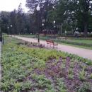 W parku w Mławie - panoramio